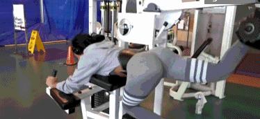 臀腿力量强化训练：6个动作强化臀腿增强下肢关节保护力量