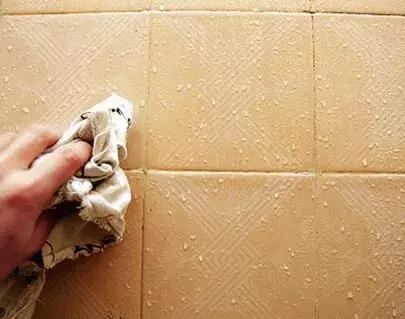 下水道出来的像水蛭一样的虫是啥,洗手间出现蚂蟥一样的虫子