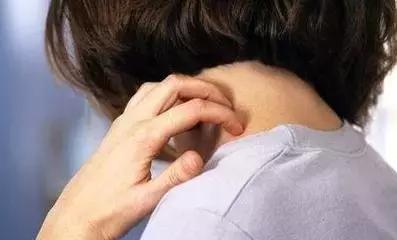 下水道出来的像水蛭一样的虫是啥,洗手间出现蚂蟥一样的虫子