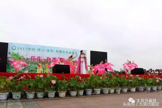 2022淮阳龙湖赏荷旅游月开幕式,中国淮阳龙湖赏荷旅游月活动启动