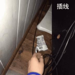 网友把足球PS成猫咪，毫无违和感！看什么看，没猫你踢什么球！