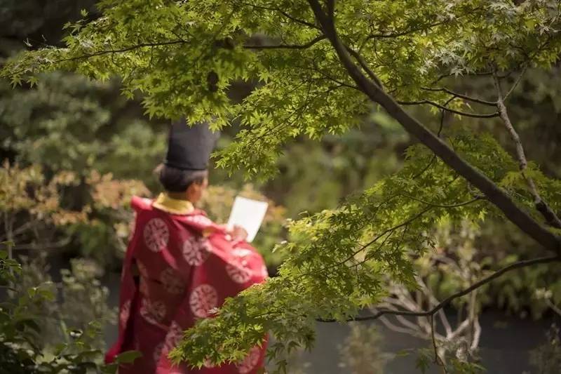 京都住宿游玩攻略,日本京都旅游住宿大全