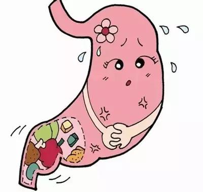益生元和益生菌到底有什么区别呢,益生元和益生菌相同点
