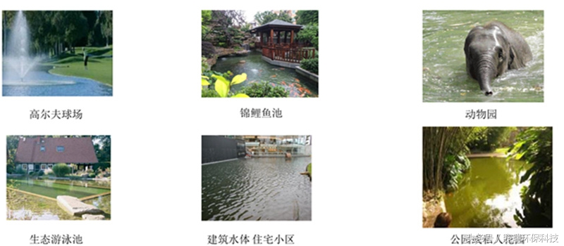 锦鲤鱼池生态循环过滤,锦鲤鱼池过滤系统视频