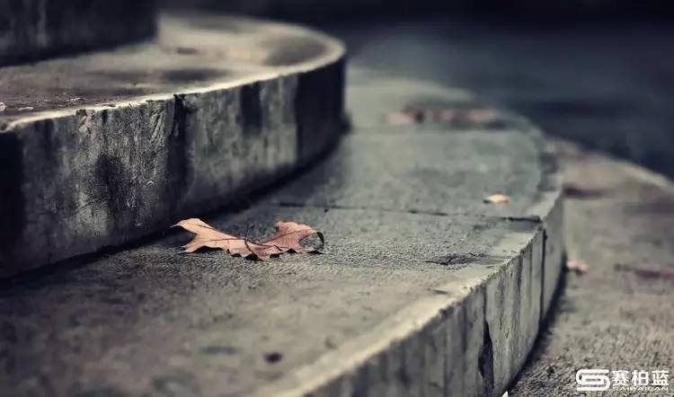 otc医药代表未来成长规划,otc医药代表的了解和认知