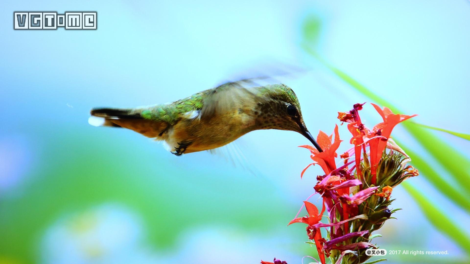 索尼4k电视哪个系列好,未来已来高清