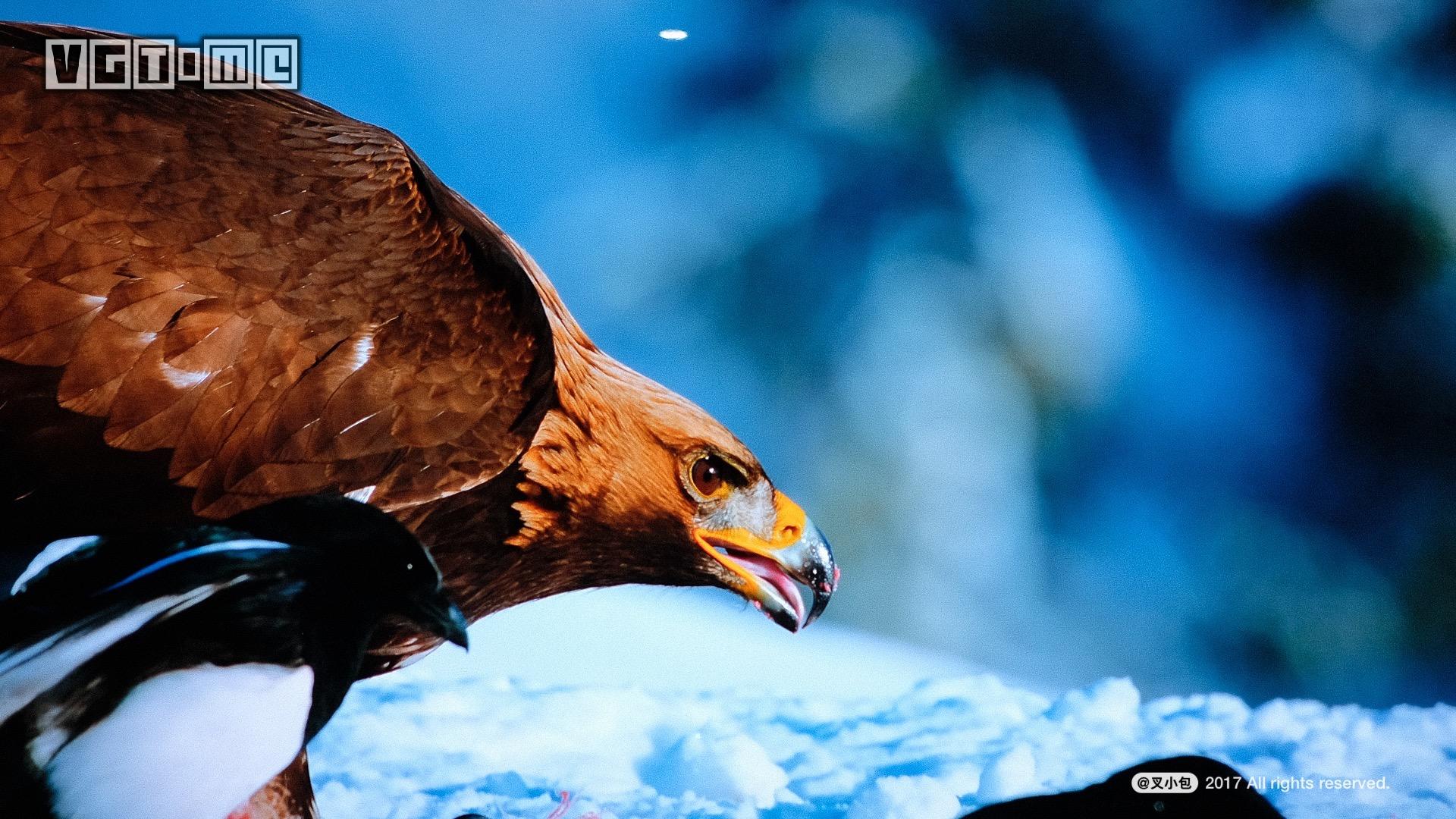 索尼4k电视哪个系列好,未来已来高清