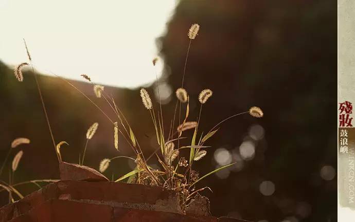 鼓浪屿申遗过程,鼓浪屿申遗40年成功了吗