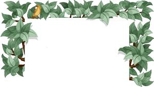 得了直肠前突多吃青菜能预防吗,得了直肠前突怎么治疗