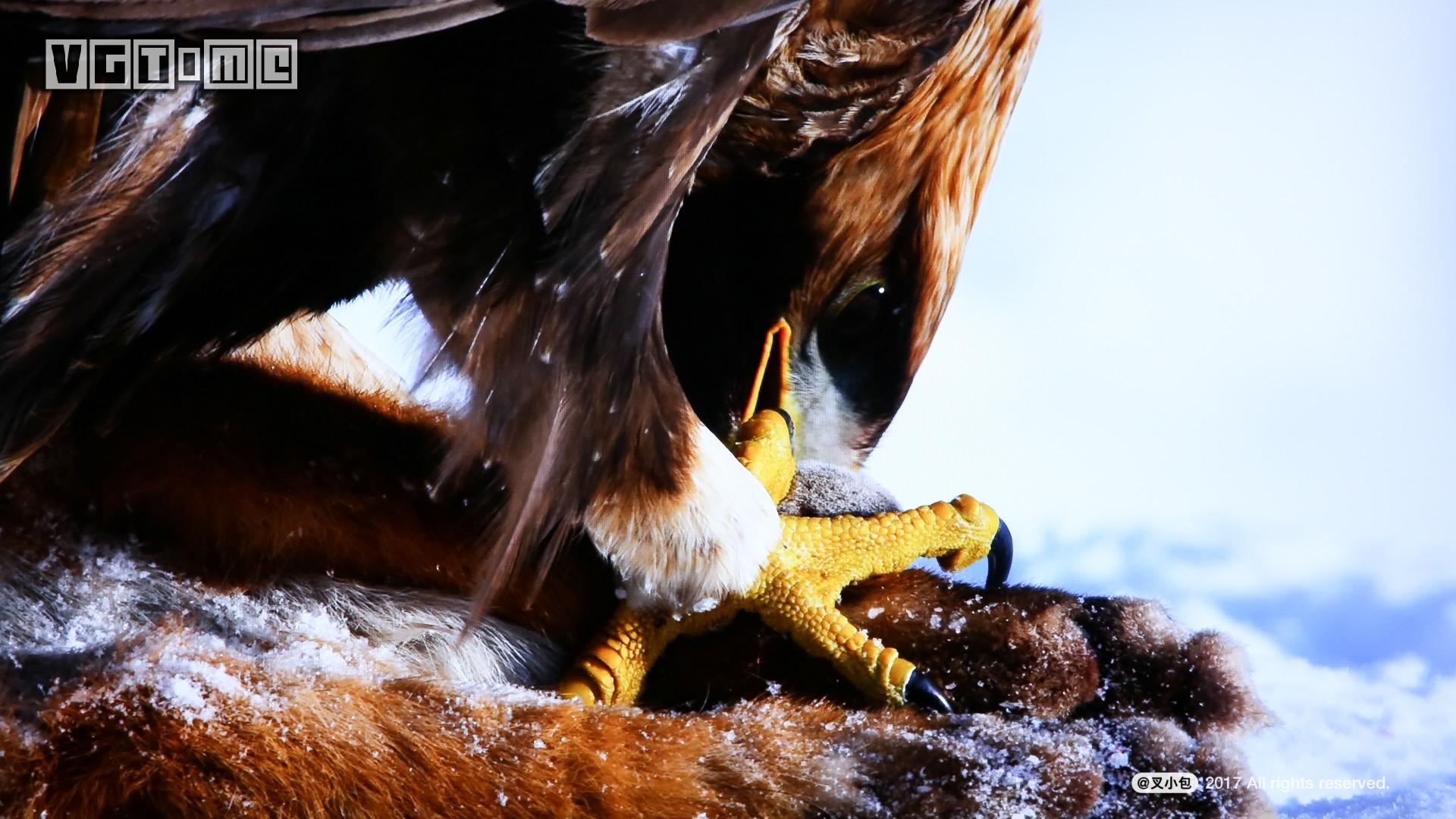 索尼4k电视哪个系列好,未来已来高清