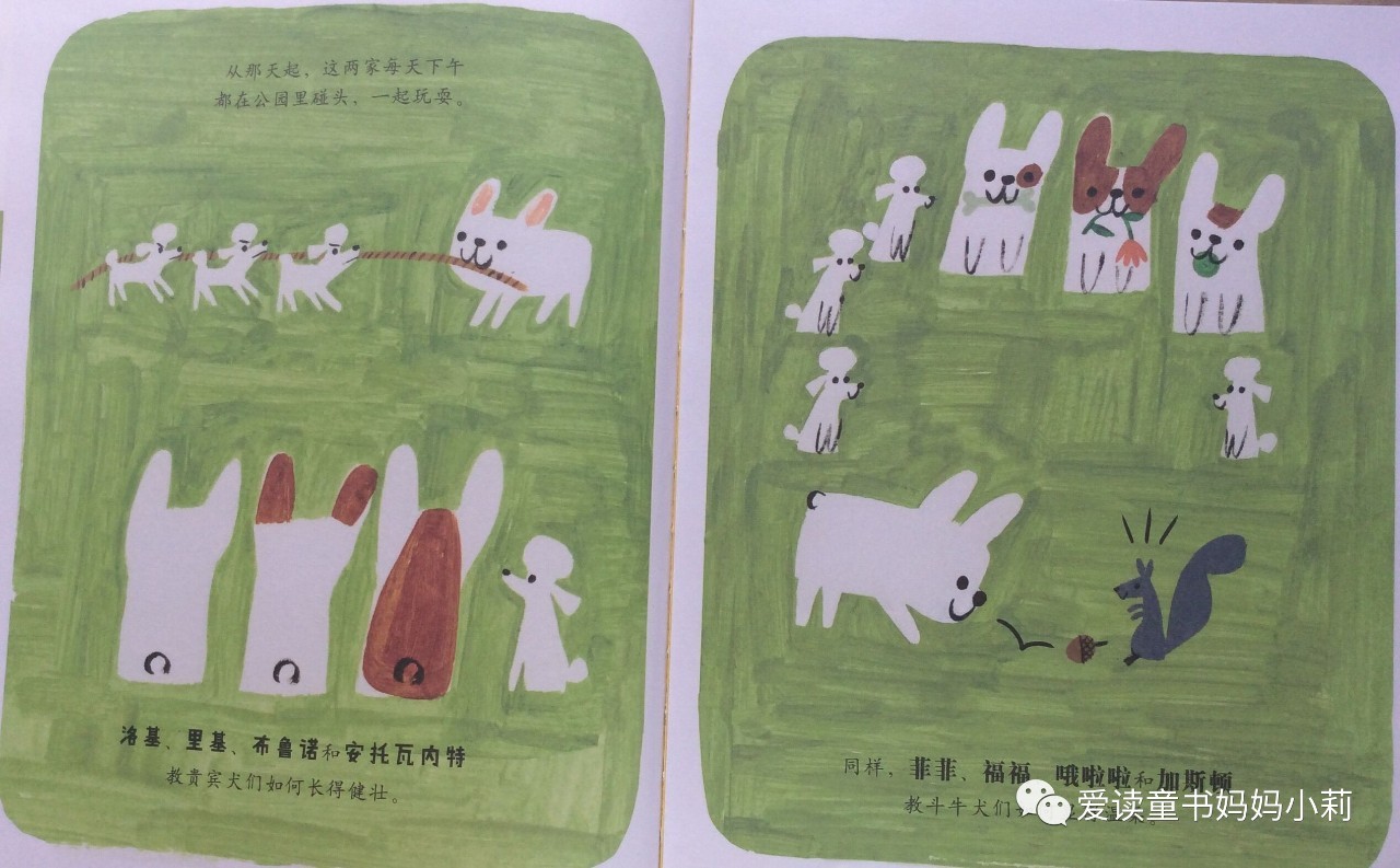 农场主，家庭主妇，乐曲家，巴菲特为什么不让孩子继承自己的商业帝国