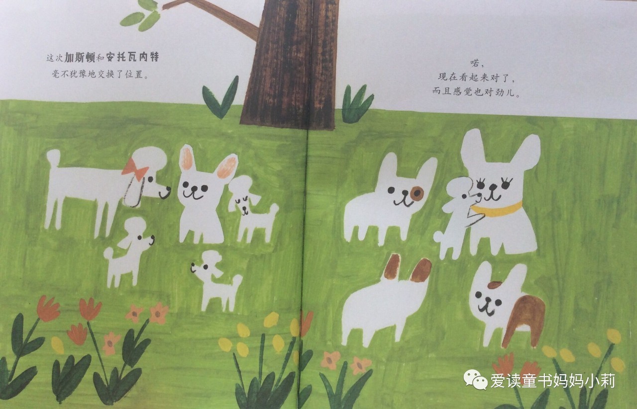 农场主，家庭主妇，乐曲家，巴菲特为什么不让孩子继承自己的商业帝国