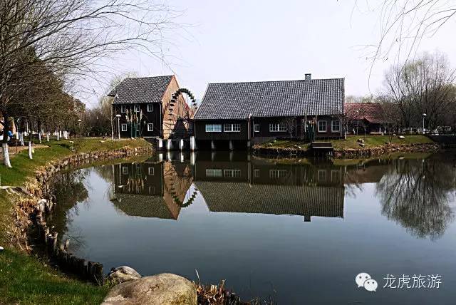 世界最美的郁金香花海,南京郁金香花海