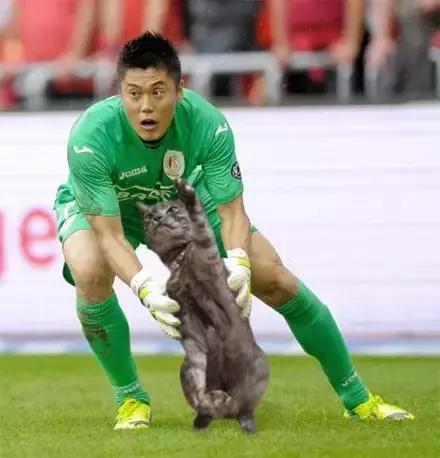 网友把足球PS成猫咪，毫无违和感！看什么看，没猫你踢什么球！