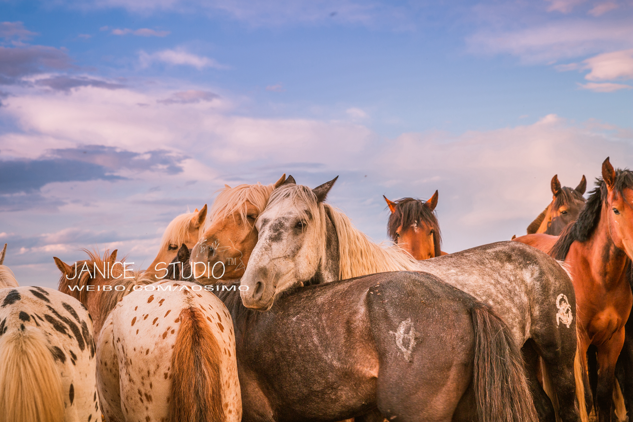 锡林郭勒草原旅游自驾攻略,锡林郭勒大草原自驾旅游攻略
