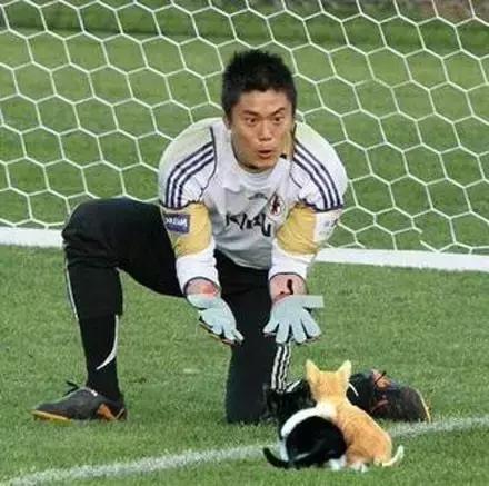 网友把足球PS成猫咪，毫无违和感！看什么看，没猫你踢什么球！
