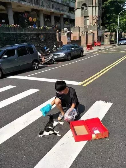 网友把足球PS成猫咪，毫无违和感！看什么看，没猫你踢什么球！