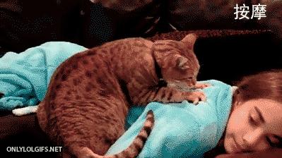 网友把足球PS成猫咪，毫无违和感！看什么看，没猫你踢什么球！