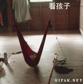 网友把足球PS成猫咪，毫无违和感！看什么看，没猫你踢什么球！