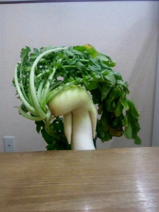 十大令人费解的食物,那些匪夷所思的食物
