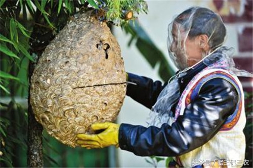 致富的新门路有哪些,有致富的门路推荐一下