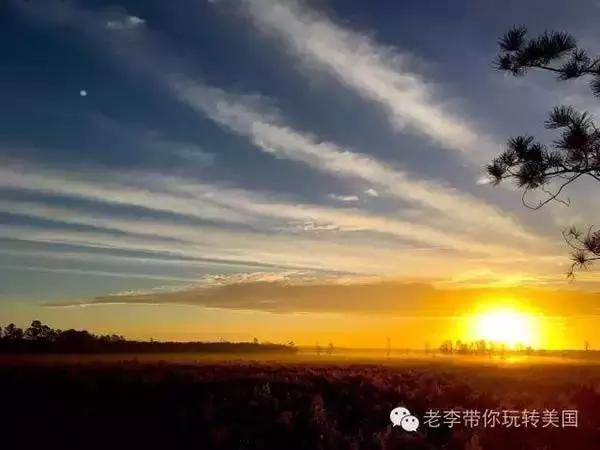 嗨文化｜美国狩猎：吃到嘴的意义