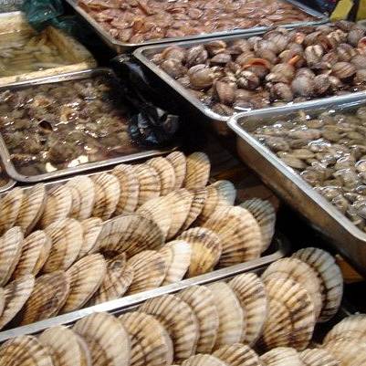 古兜山海度假公寓价格,日照环海国旅