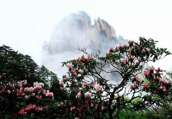 黄山温泉度假酒店泡温泉推荐,黄山脚下温泉旅游攻略
