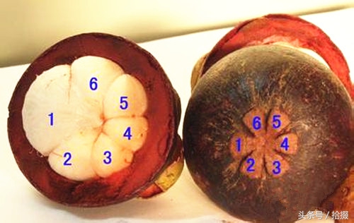 山竹大家都吃过但怎么挑选山竹,如何挑选山竹才是最新鲜的