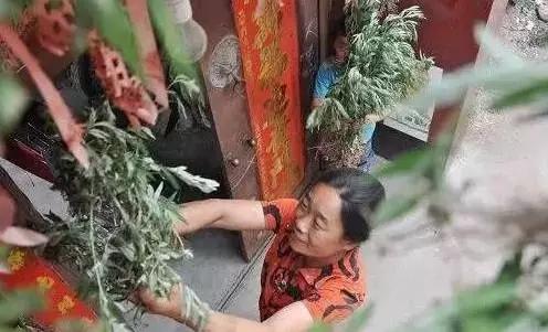 用艾叶煮水后，万万没想到……惊呆了！