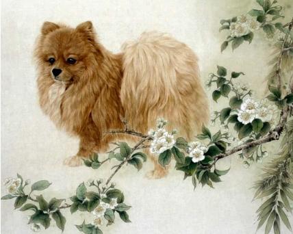 什么生肖和什么生肖最佳搭配,最合适的生肖组合