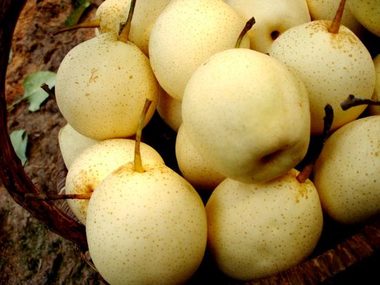 夏季清热润肺水果,夏季什么水果清热去火