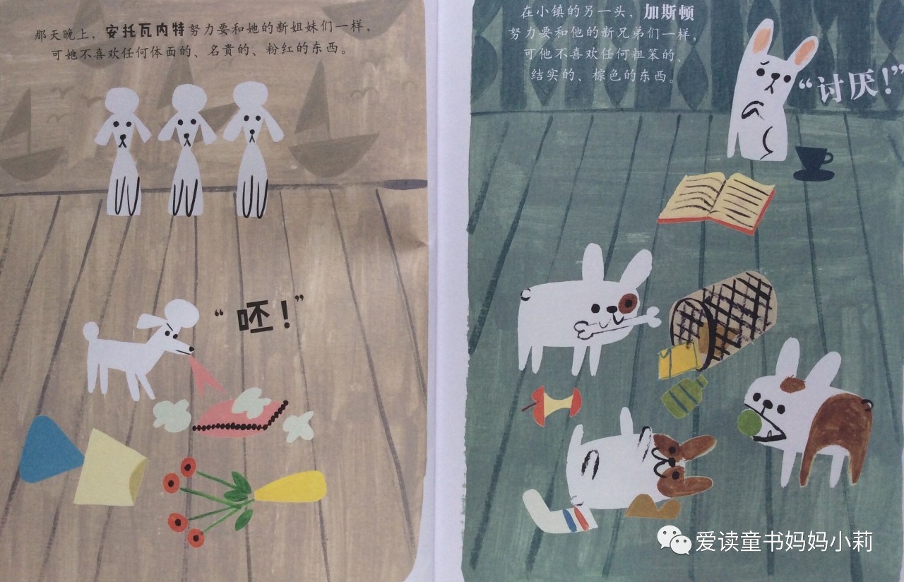 农场主，家庭主妇，乐曲家，巴菲特为什么不让孩子继承自己的商业帝国