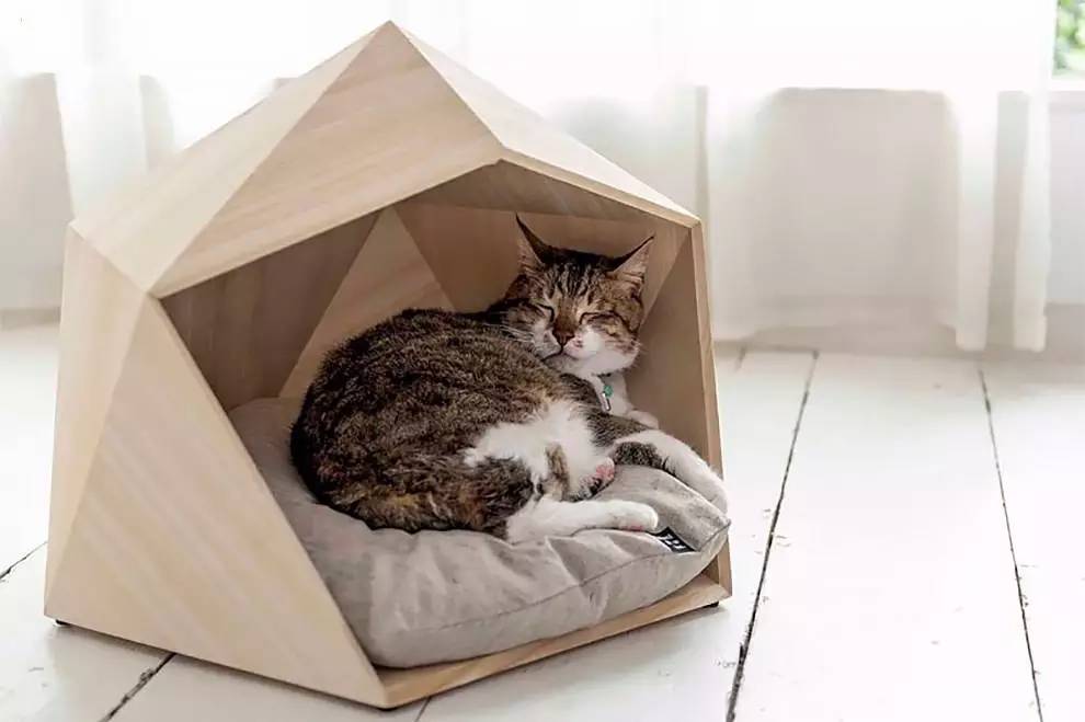 盘点那些实用的宠物生活用品,猫狗最实用的宠物用品