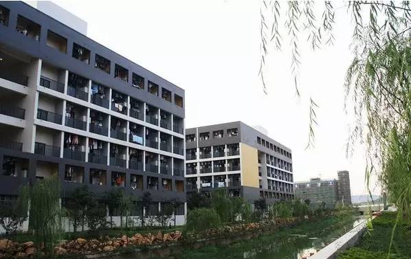 南京宿舍最好的专科大学,南京最好的大学宿舍