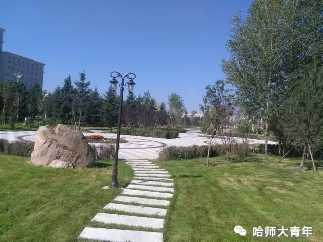 哈师大改造了吗,哈尔滨哈师大梦溪湖