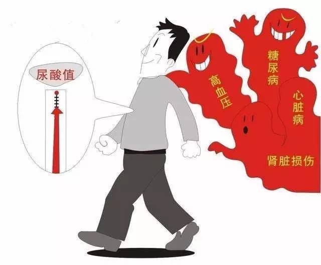 高尿酸血症是肾出了问题吗,高尿酸血症吃什么食物最好
