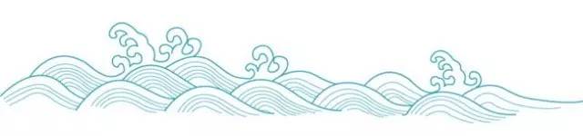 4种新手也能养成老桩的多肉,多肉如何养成大朵