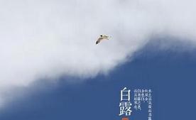 二十四节气白露转秋凉,白露节气落叶知秋凉