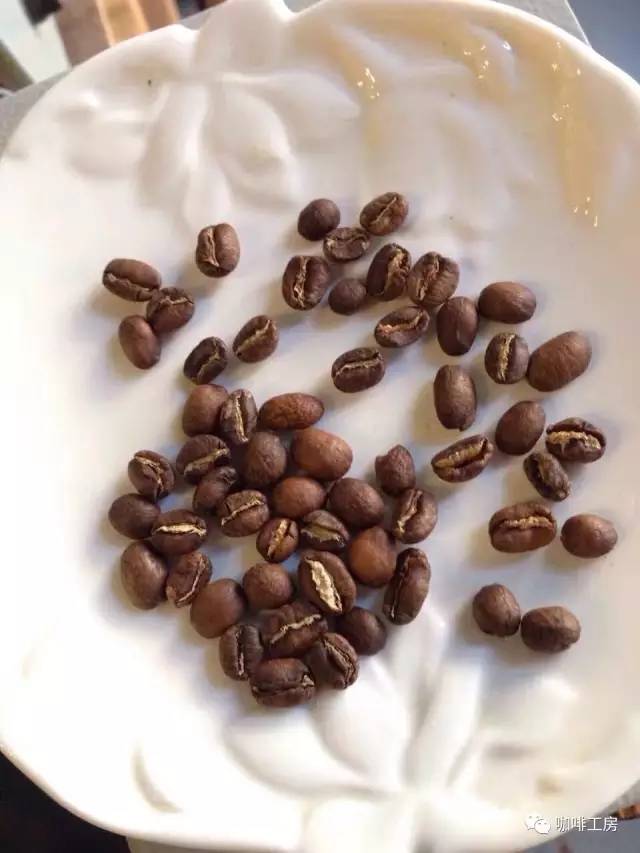 单品咖啡和意式咖啡,咖啡品种科普