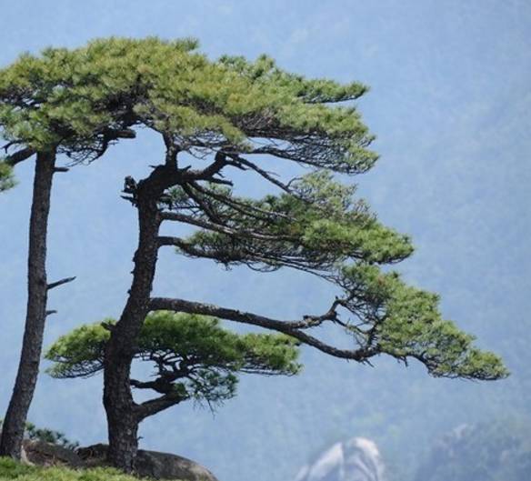 河南的绝美景色,河南附近星空