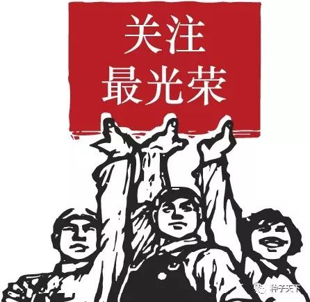 2019年农业部推广的玉米新品种,2022年国家审定的玉米新品种