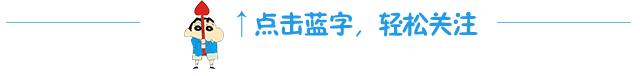 赛鸽什么眼配什么眼好,如何从鸽眼挑选好种鸽