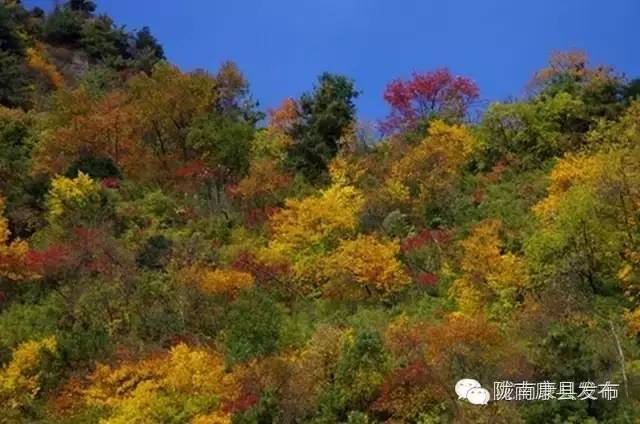 「相约康县」山水间歌声回荡，烟波里久违的故乡