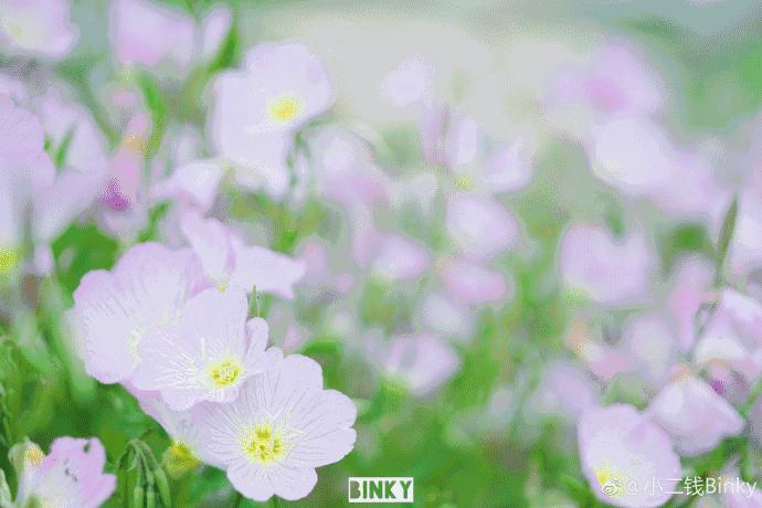 福州一中排名怎么样,福州一中全部排名