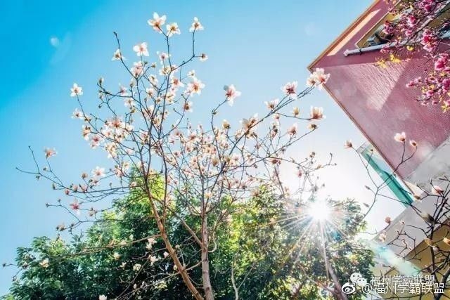 福州一中排名怎么样,福州一中全部排名