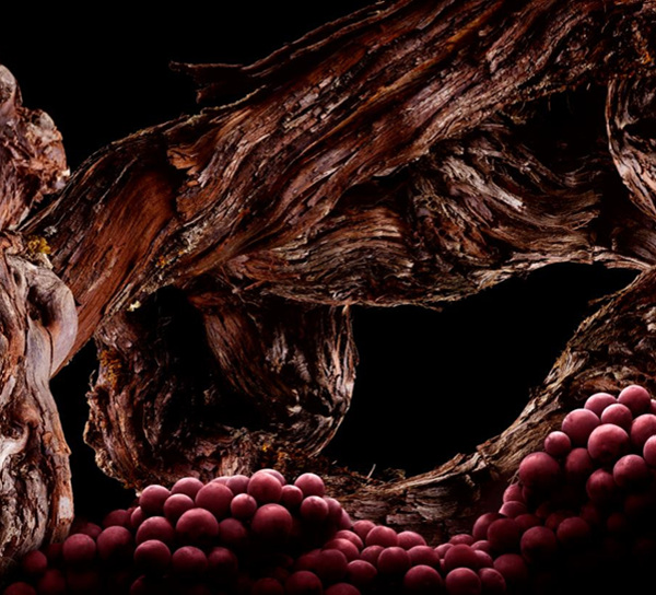 吴彦祖的颜值巅峰肌肉照片,吴彦祖年轻时候的颜值避其锋芒