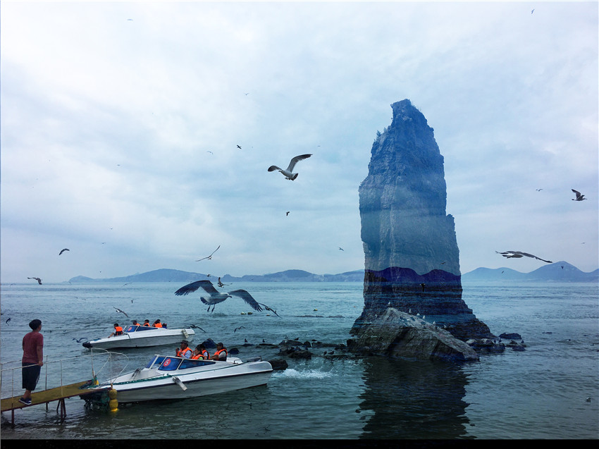 荣成海驴岛一年四季都有海鸥吗,国外海岛看海鸥
