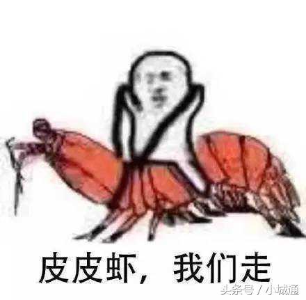 盘点网络上那些梗原版,网络上的那么多梗都是哪来的