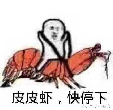 盘点网络上那些梗原版,网络上的那么多梗都是哪来的